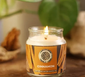 Cinnamon Natural Scented Candle