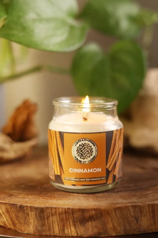 Cinnamon Natural Scented Candle
