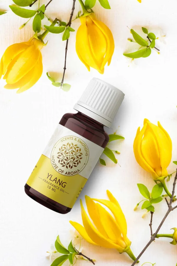 Ylang Fragrance Oil 10ml